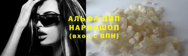 шишки Армянск