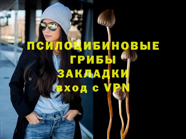 СК Арсеньев